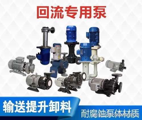 回流泵 廢水處理回流泵